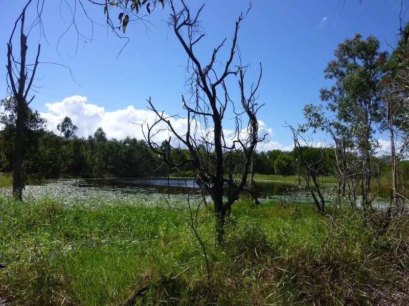 93 GELSOMINOS ROAD, SOUTH ISIS, Childers QLD 4660