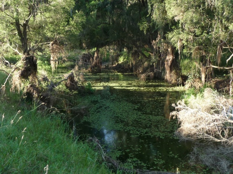 Lot Various, MT WOOWOONGA ROAD, Biggenden QLD 4621