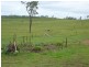 1117 Goodnight Scrub Road, Good Night QLD 4671