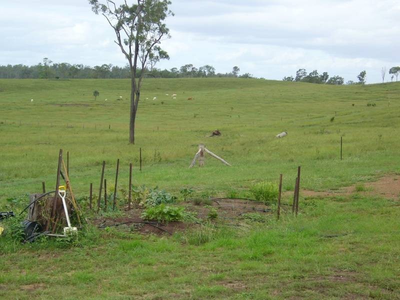 1117 Goodnight Scrub Road, Good Night QLD 4671