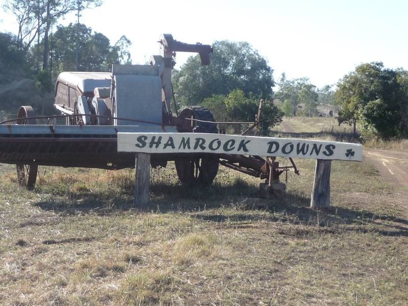 1117 Goodnight Scrub Road, Good Night QLD 4671