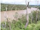 1117 Goodnight Scrub Road, Good Night QLD 4671