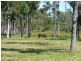 Lot 125,  GASTONS ROAD, Redridge QLD 4660