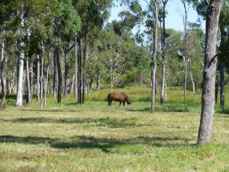 Lot 125,  GASTONS ROAD, Redridge QLD 4660