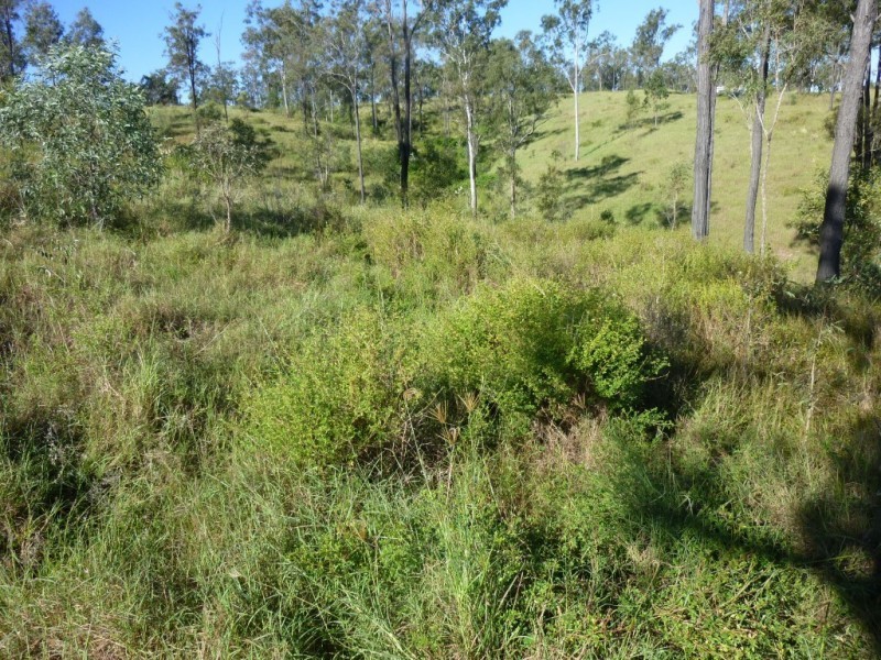 358 RAILWAY ROAD, Booyal QLD 4671