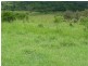 GRIFFINS ROAD, DEGILBO, Biggenden QLD 4621