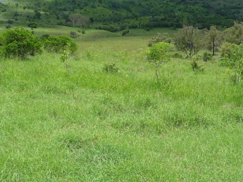 GRIFFINS ROAD, DEGILBO, Biggenden QLD 4621