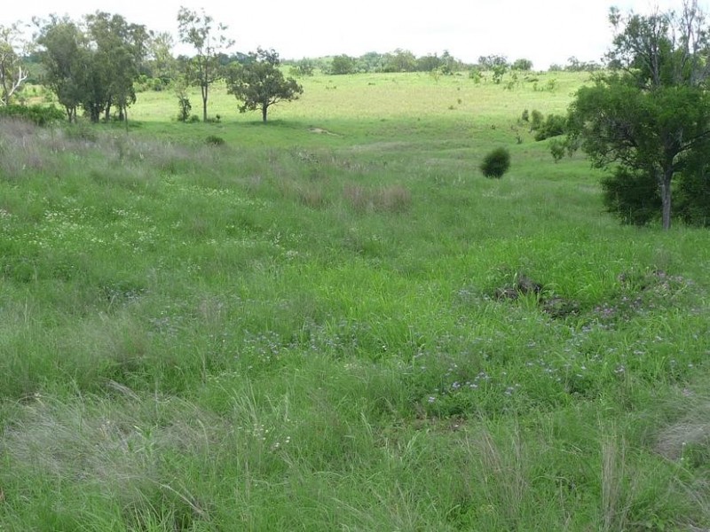GRIFFINS ROAD, DEGILBO, Biggenden QLD 4621