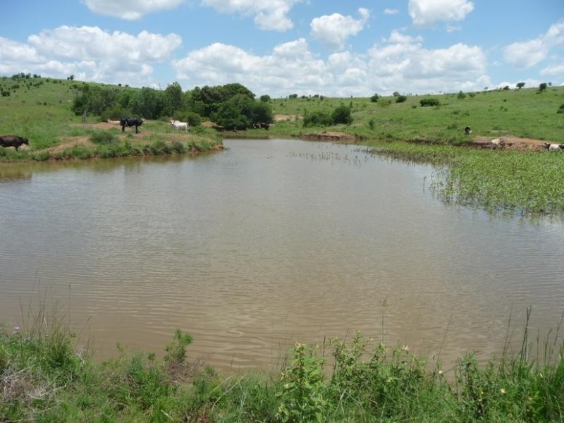 GRIFFINS ROAD, DEGILBO, Biggenden QLD 4621