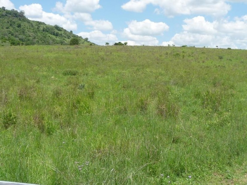 GRIFFINS ROAD, DEGILBO, Biggenden QLD 4621