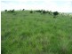 GRIFFINS ROAD, DEGILBO, Biggenden QLD 4621
