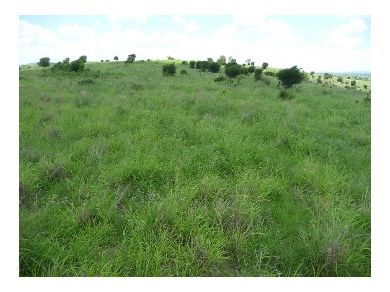 GRIFFINS ROAD, DEGILBO, Biggenden QLD 4621