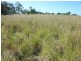 GRIFFINS ROAD, DEGILBO, Biggenden QLD 4621