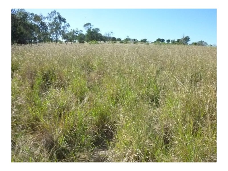 GRIFFINS ROAD, DEGILBO, Biggenden QLD 4621
