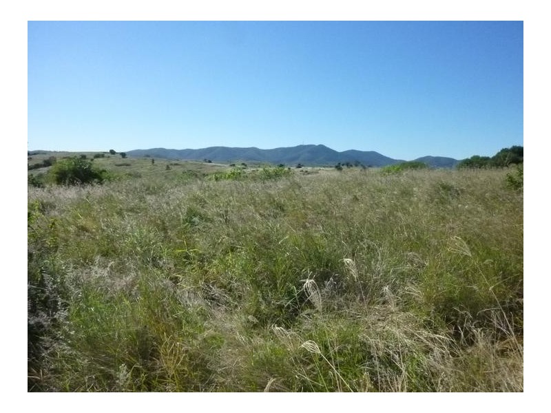 GRIFFINS ROAD, DEGILBO, Biggenden QLD 4621