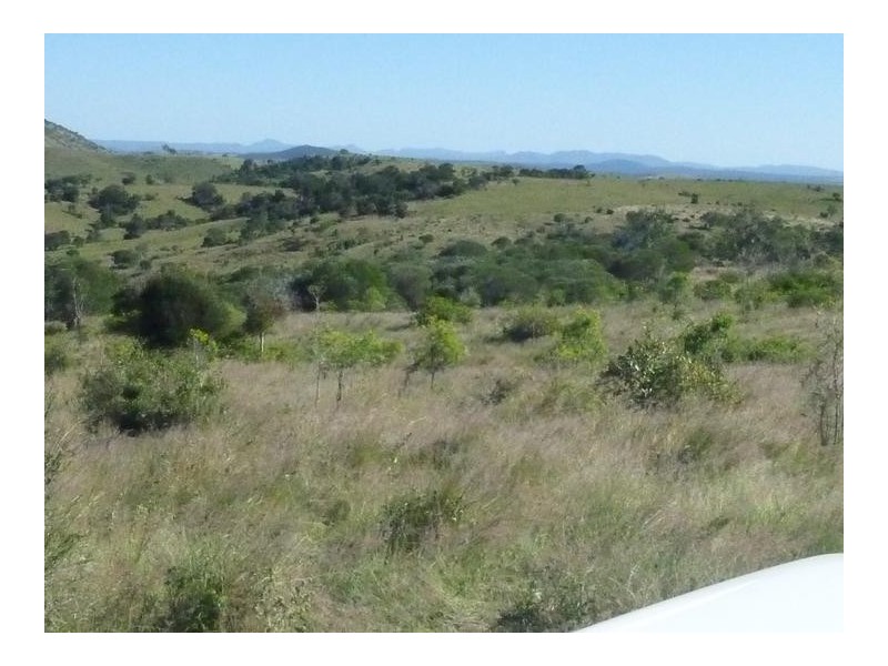 GRIFFINS ROAD, DEGILBO, Biggenden QLD 4621