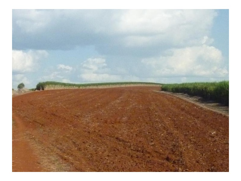 Lot 2,  LYNWOOD ROAD, North Isis QLD 4660