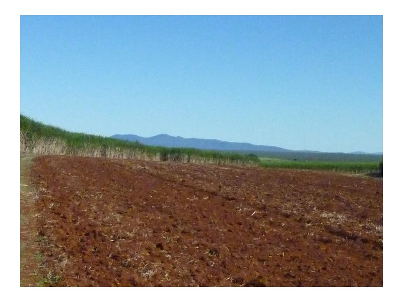 Lot 2,  LYNWOOD ROAD, North Isis QLD 4660