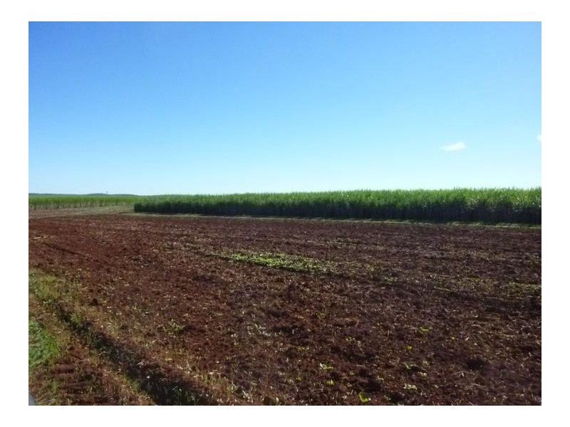 Lot 2,  LYNWOOD ROAD, North Isis QLD 4660
