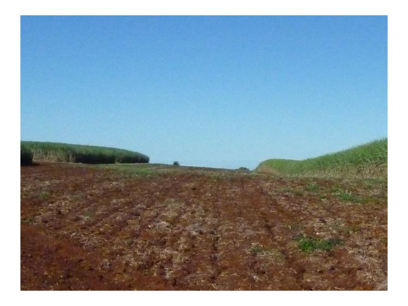 Lot 2,  LYNWOOD ROAD, North Isis QLD 4660