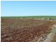 Lot 2,  LYNWOOD ROAD, North Isis QLD 4660
