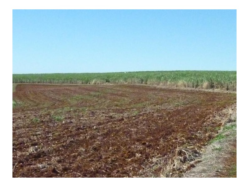 Lot 2,  LYNWOOD ROAD, North Isis QLD 4660