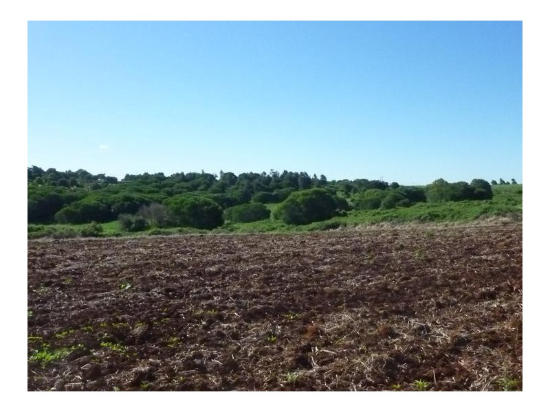 Lot 2,  LYNWOOD ROAD, North Isis QLD 4660