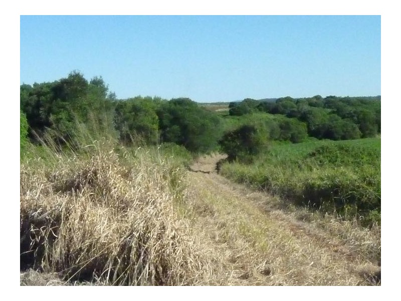 Lot 2,  LYNWOOD ROAD, North Isis QLD 4660