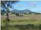 42 BLUFF VIEW ROAD, Biggenden QLD 4621