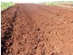 203 SOUTH ISIS ROAD, South Isis QLD 4660