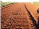 203 SOUTH ISIS ROAD, South Isis QLD 4660