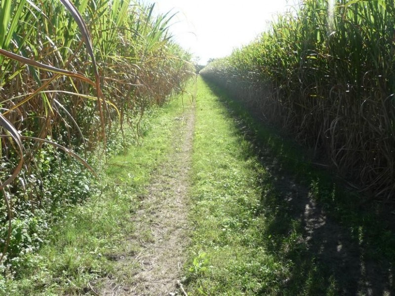 PEAGAMS ROAD, ELLIOTT RIVER, Bundaberg QLD 4670