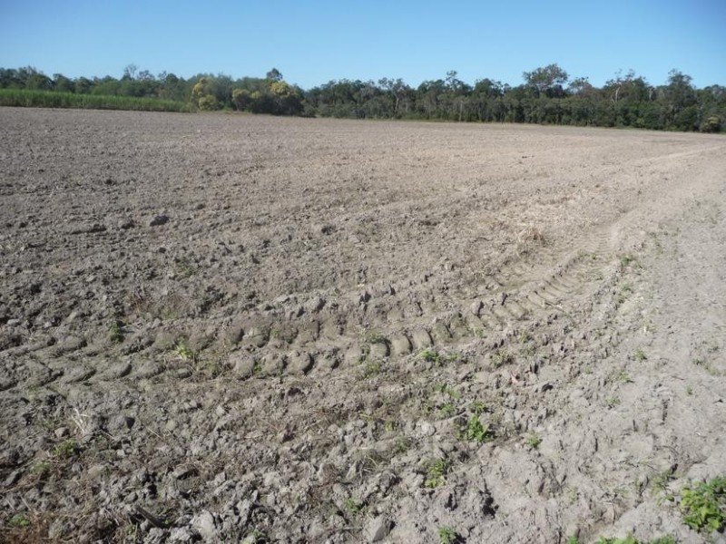 PEAGAMS ROAD, ELLIOTT RIVER, Bundaberg QLD 4670