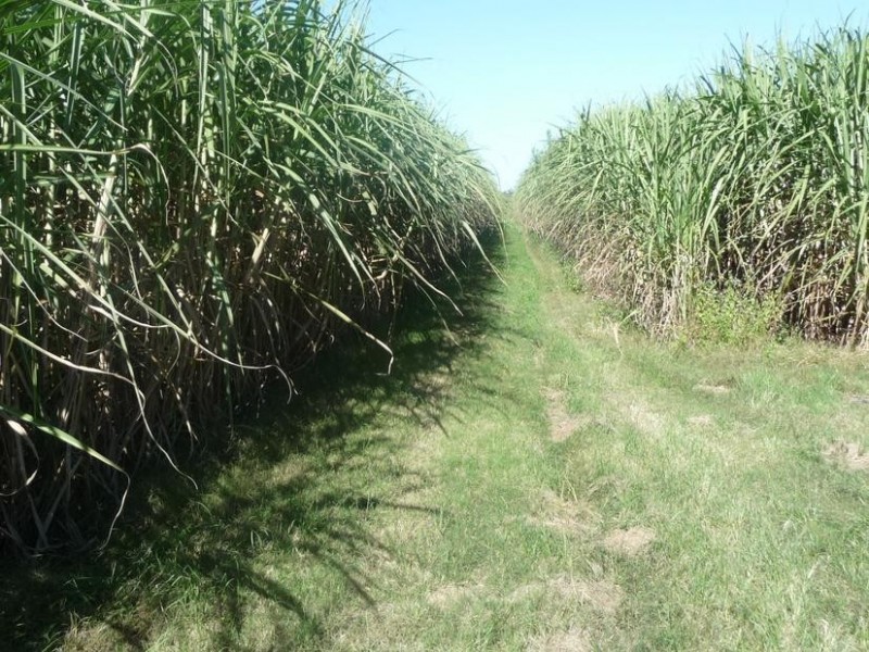 PEAGAMS ROAD, ELLIOTT RIVER, Bundaberg QLD 4670