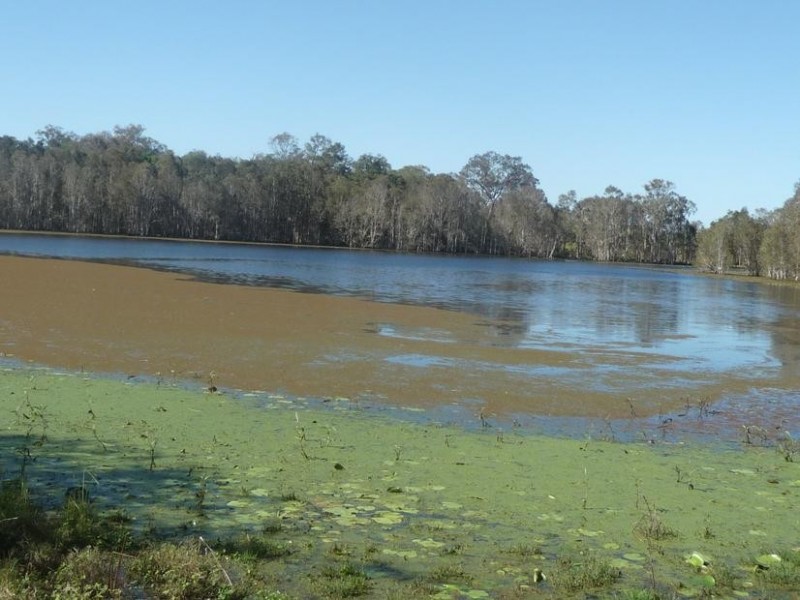 PEAGAMS ROAD, ELLIOTT RIVER, Bundaberg QLD 4670