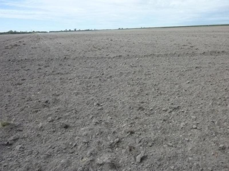 CHILDERS ROAD, Gregory River QLD 4660