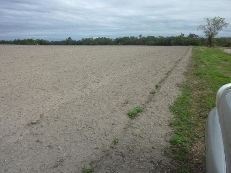 CHILDERS ROAD, Gregory River QLD 4660