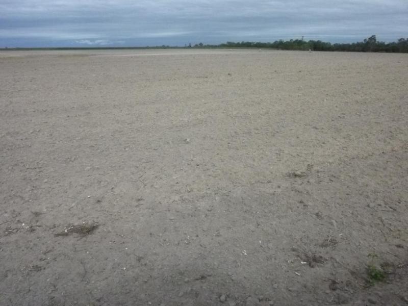 CHILDERS ROAD, Gregory River QLD 4660