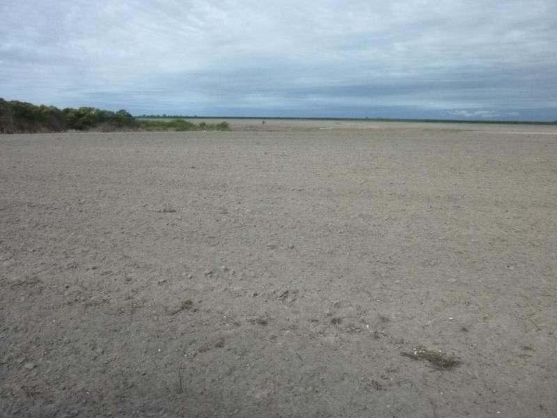 CHILDERS ROAD, Gregory River QLD 4660