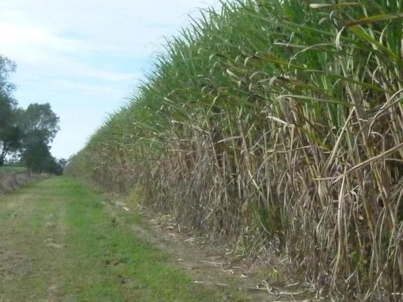 3572 CHILDERS ROAD, Gregory River QLD 4660