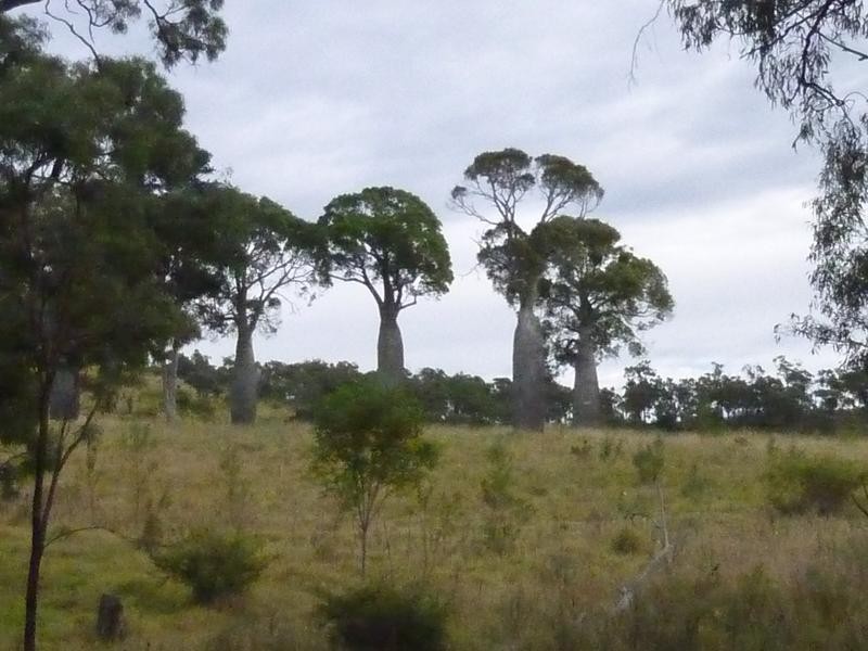 236 HUNTERS ROAD, Coalstoun Lakes QLD 4621