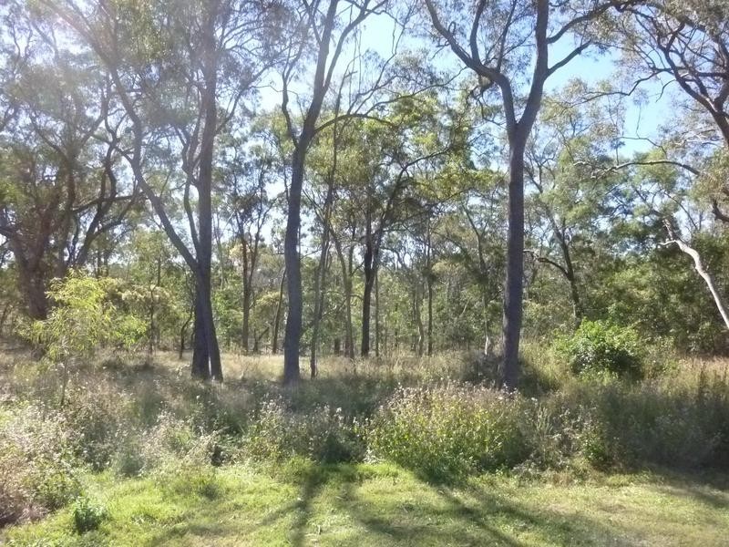 347 GUPPYS ROAD, EUREKA, Childers QLD 4660