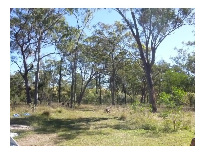 347 GUPPYS ROAD, EUREKA, Childers QLD 4660