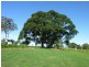 Apple Tree Creek QLD 4660