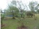 1362 BUXTON ROAD, Buxton QLD 4660