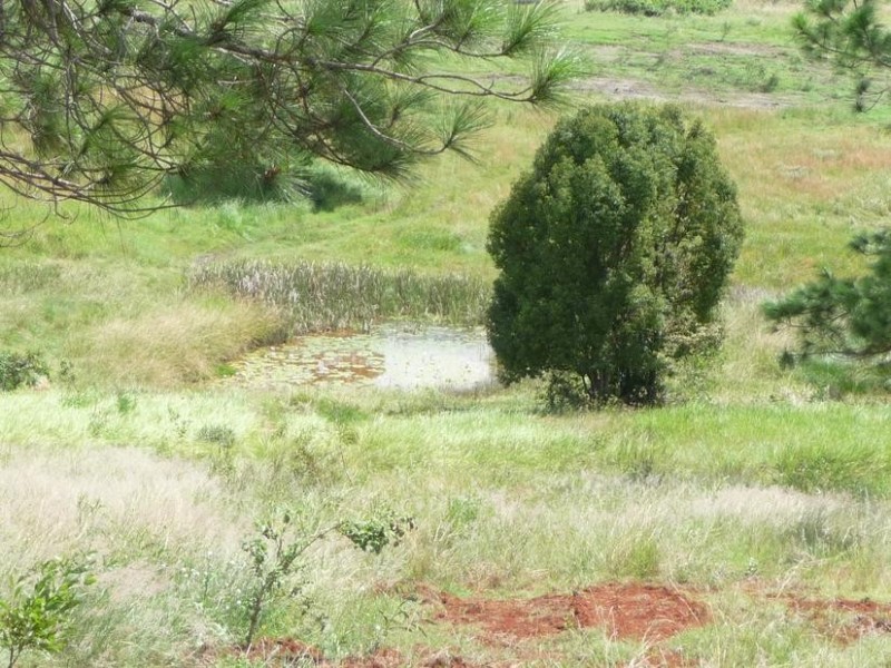 Lot 70,  ATC HALL ROAD, North Isis QLD 4660