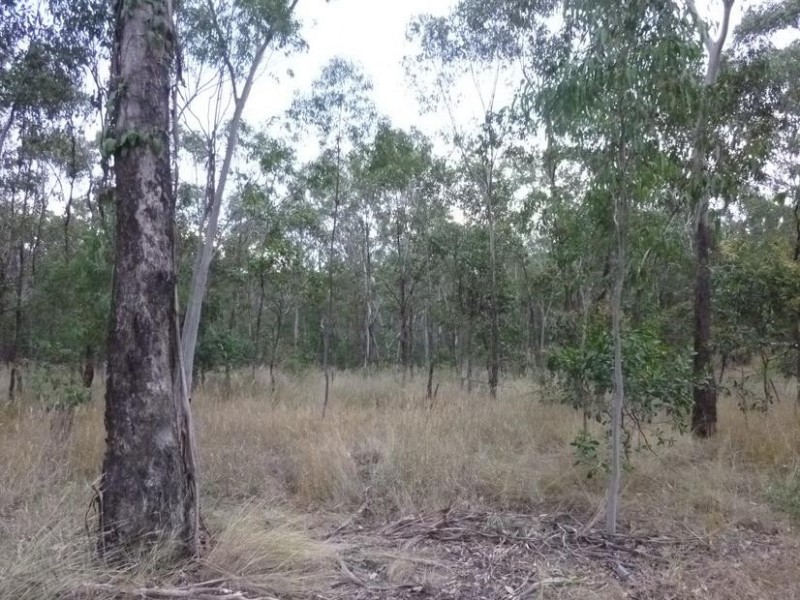 Lot 11,  Mt Woowoonga Road, Woowoonga QLD 4621