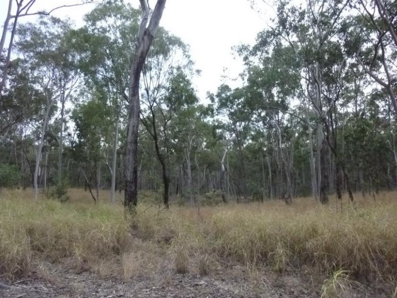 Lot 11,  Mt Woowoonga Road, Woowoonga QLD 4621