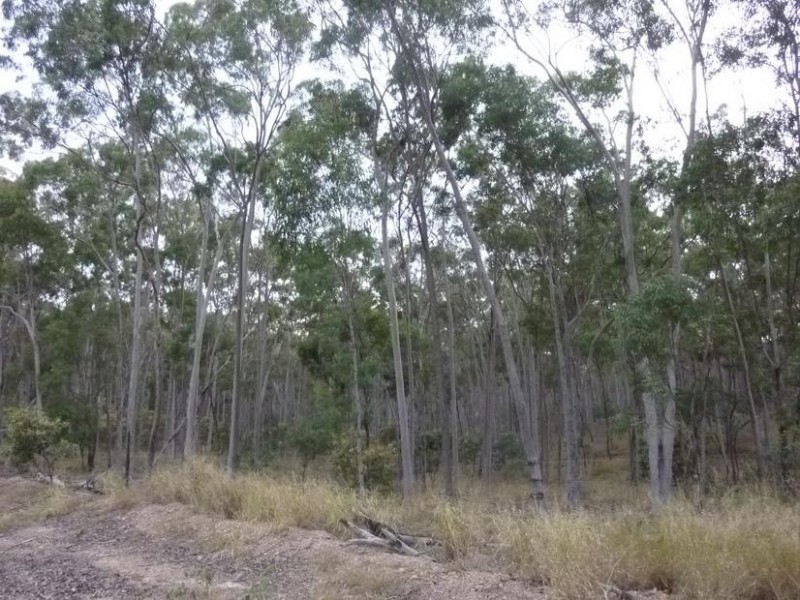 Lot 11,  Mt Woowoonga Road, Woowoonga QLD 4621