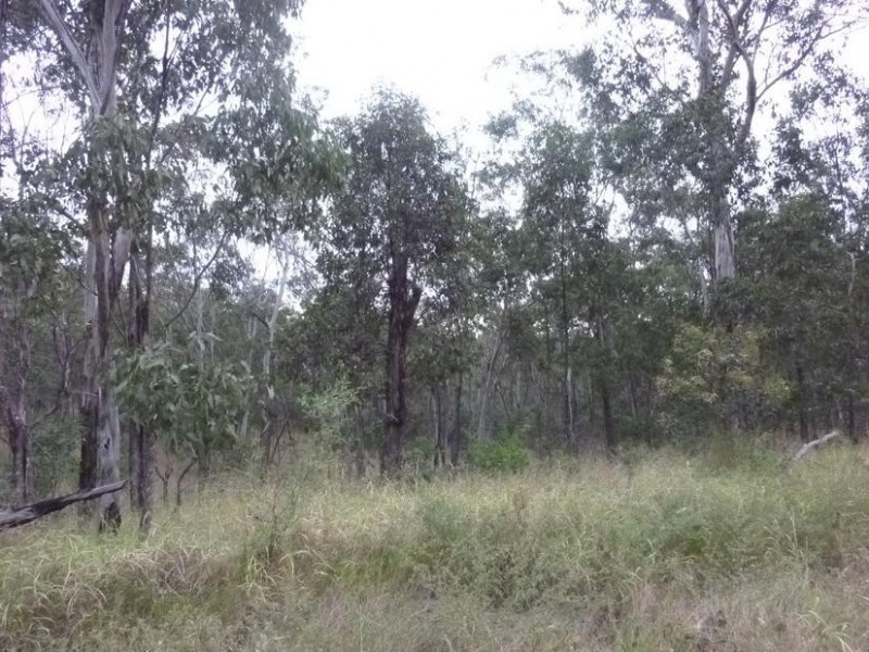 Lot 11,  Mt Woowoonga Road, Woowoonga QLD 4621